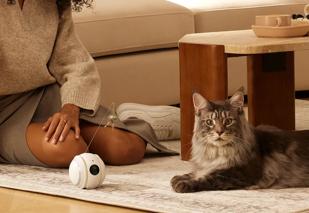 best indoor cameras for pets