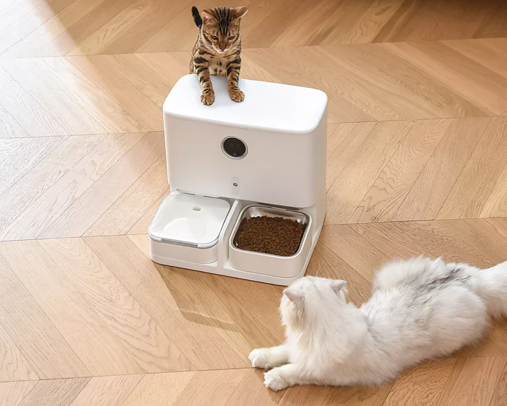 cat feeder with camera